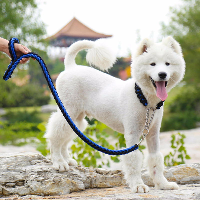 팁 네 개 못 가선을 두르다