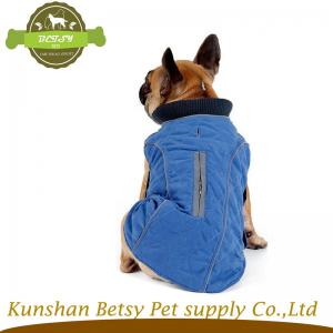 개가 황 애완 동물 옷을 입혀