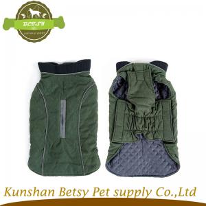 개가 황 애완 동물 옷을 입혀