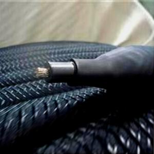 전도 보조 양극