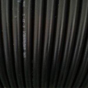 전도 보조 양극