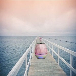 새로 산 들어설 젊은 플라스틱 정유 향기 디퓨저