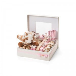 잘 팔리고 있다 macaron 포장 박스 macaron 상자 뚜껑을 디자인