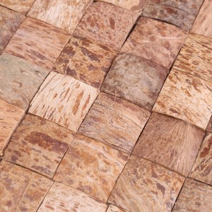 크리 에이 티브 디자인 자연 코코넛 쉘 모자이크 장식 벽 타일