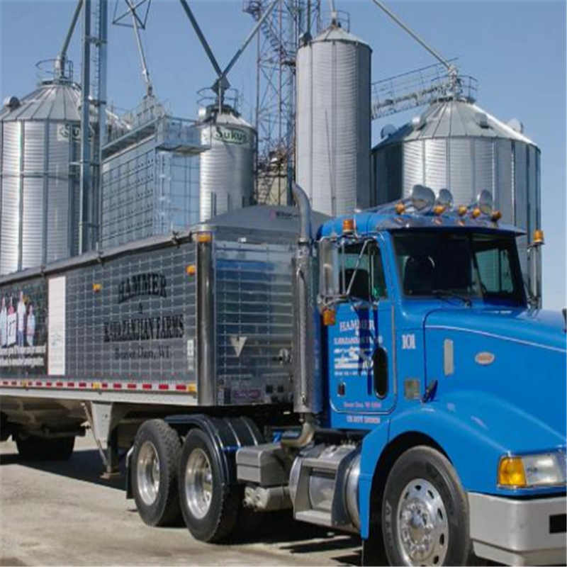 중국은 트럼프를 다루기보다 그것을 기다릴 수도있다.