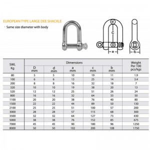 유럽 ​​유형 아연 도금 대형 디 차클
