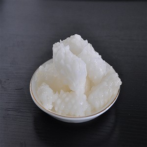 냉동 오징어 꽃