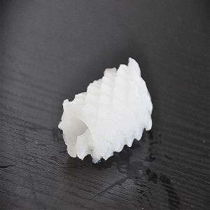 냉동 오징어 꽃