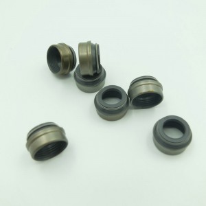 자동 고무 예비 부품 시장 후 교체를위한 밸브 스템 오일 씰