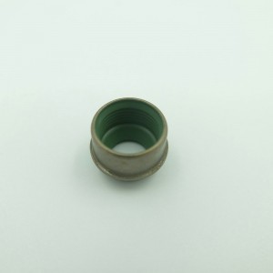 고온 내성 Viton 고무 오일 밀봉 Santana 자동차 밸브 스템 실