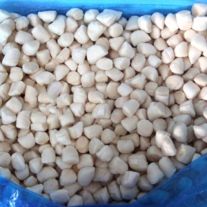 냉동 베이 가리비 고기