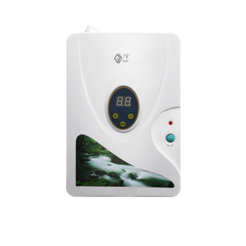 오존 발생기가 냄새를 제거 할 수 있습니까?