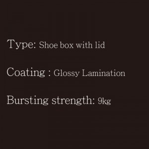 뚜껑을 가진 신발 상자 1