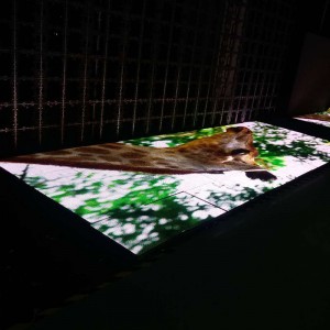 야외 댄스장 단계 p8.928 led 보이기 / led 비디오 벽