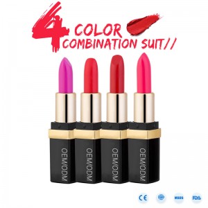 고급 레이블 방수 무광택 오래가는 립스틱 레이블