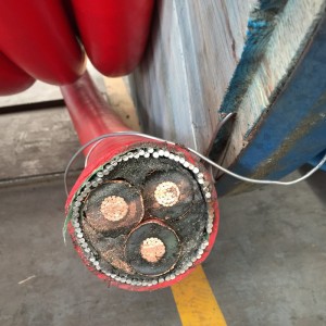 STA / SWA 기갑을 가진 중간 전압 다중 중핵 기갑 된 케이블