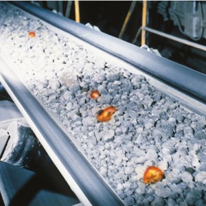 내열성 컨베이어 벨트