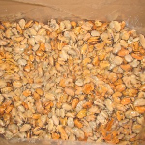 냉동 삶은 홍합 고기