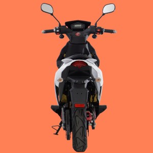 전기 스쿠터, 전자 스쿠터, 오토바이