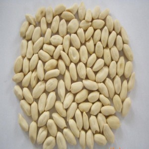 땅콩 건조 필링 기계