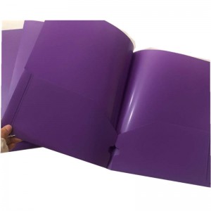 PP 확장 파일 폴더 / 2 포켓 폴더