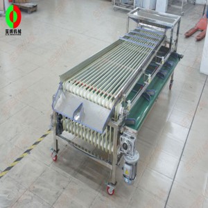 FJ-3000 과일 그레이더