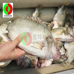 멜론 과일 기계 / 멜론 과일 청소 필링 기계 / 멜론 과일 브러시 청소 필링 기계 QX - 612 새로운 청소