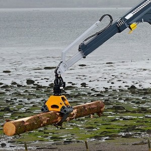 목재 처리 갠트리 크레인