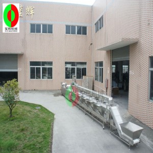 다기능 야채 세탁기 / 야채 세탁기 생산 라인 / 3 층 정렬 깨끗한 야채 가공 생산 라인