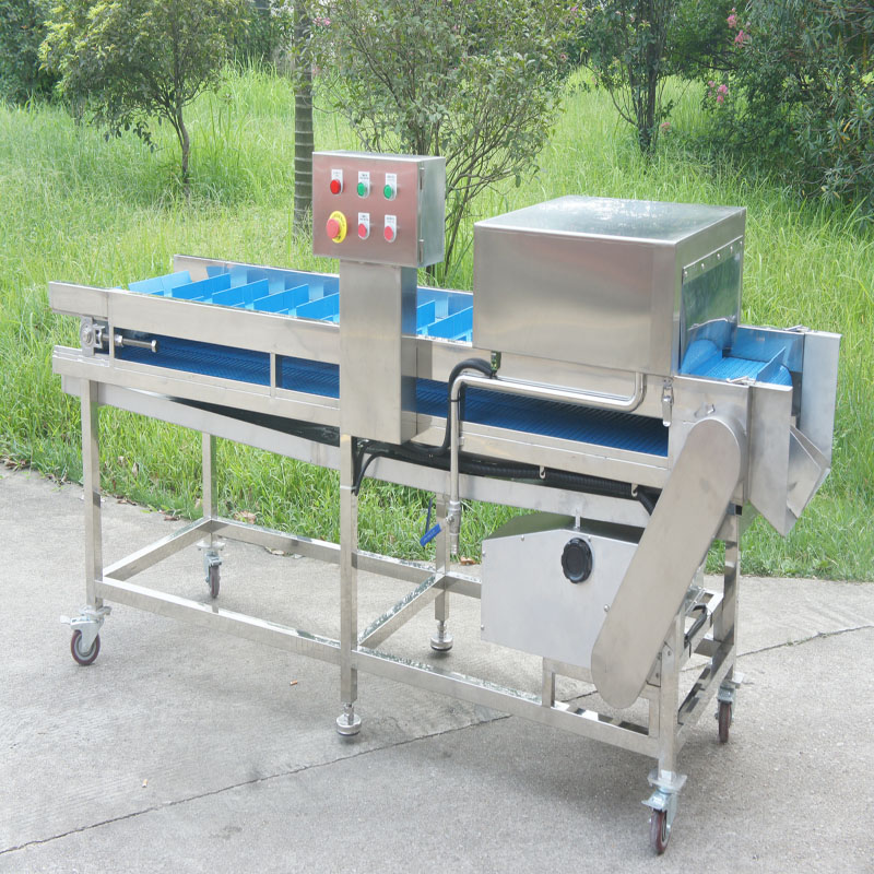 물고기 머리 절단기는 당신의 테이블을 더 풍부하게합니다.