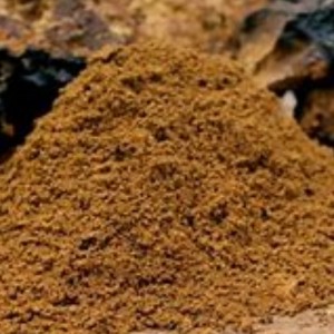 Chaga 버섯 inonotus obliquues 건강 관리 잘 보완
