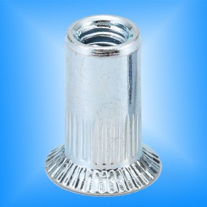 접시 머리 널링 바디