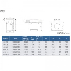 육각 머리 내부 육각 몸체 감소