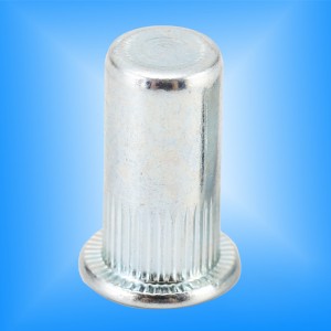 플랫 헤드 널링 바디 클로즈 엔드