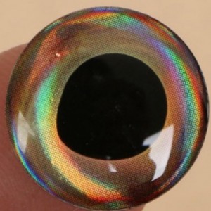 낚시 미끼 눈, 에폭시 돔형 물고기 눈