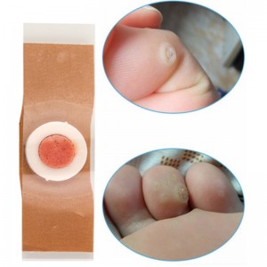 옥수수 구호 석고