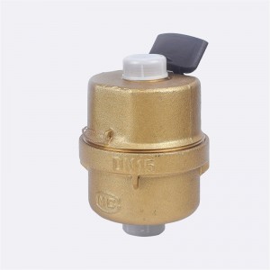 체적 회전식 피스톤 물 미터