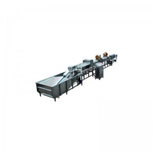 WXG70 Duck egg Washing and Drying machine