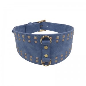 특별한 크기의 개 목걸이