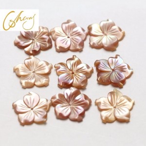 진주 조개 보석 재료의 어머니