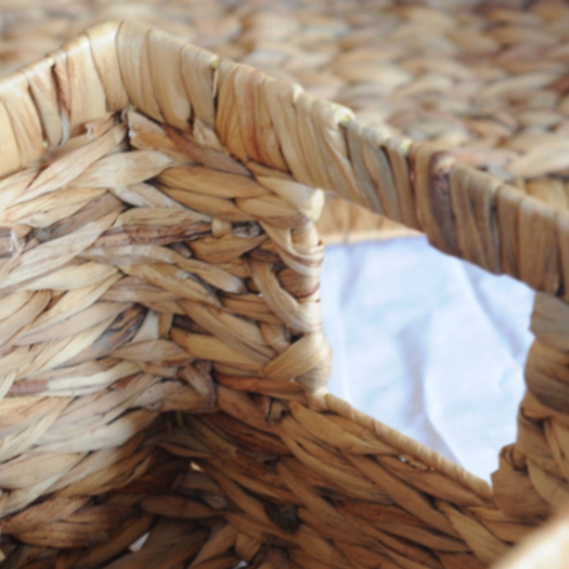 물 히아신스 바구니