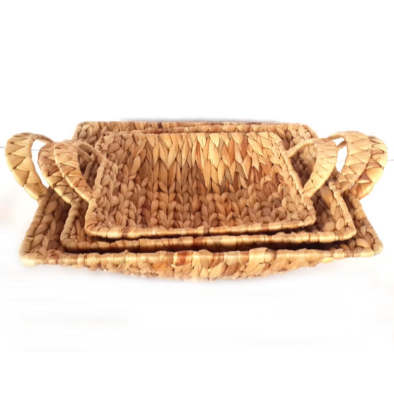 물 히아신스 바구니