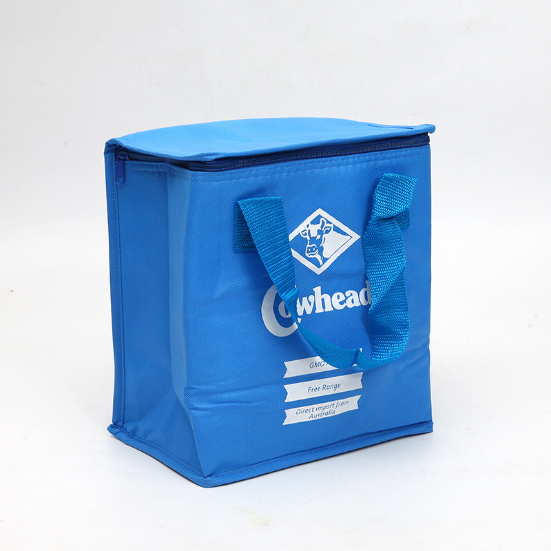 SGC30 도매 저렴한 프로모션 가격 재활용 사용자 정의 로고 인쇄 식료품 토트 절연 쿨러 가방