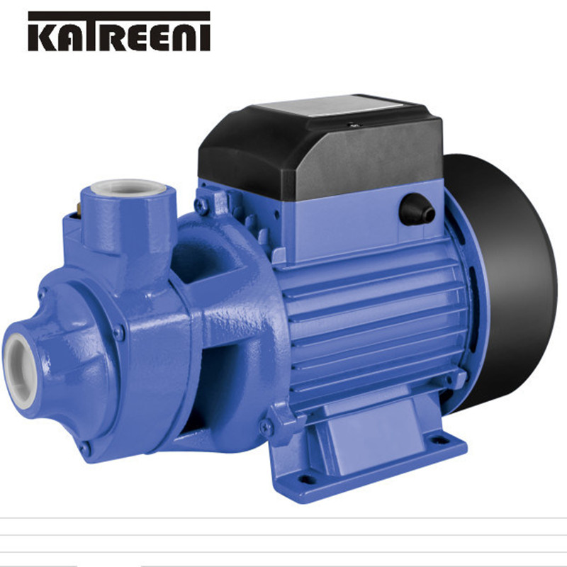 Qb70 0.75HP 깨끗한 물을위한 작은 와동 전기 단청 구획 수도 펌프