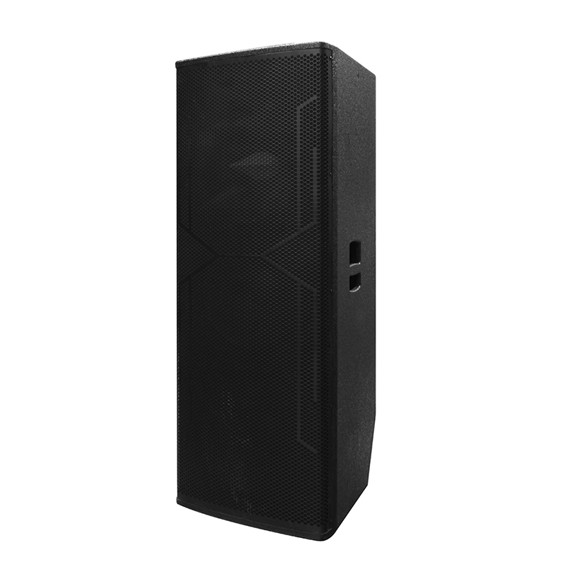 큰 DJ 스피커 Y-450DH