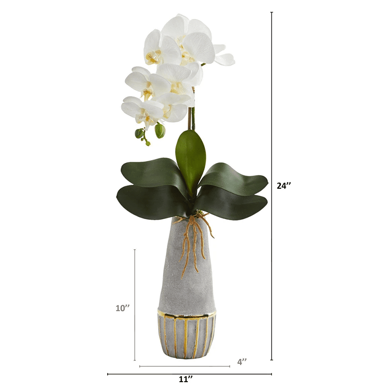 오 하 이오 주 - 2000, 21.