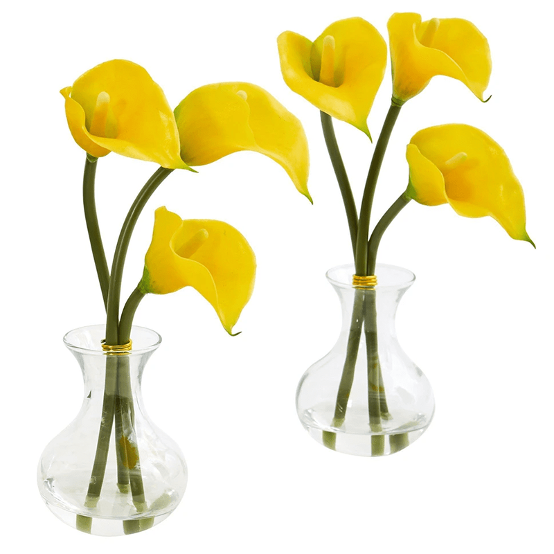 오 하 이오 주. - 20000, 23.