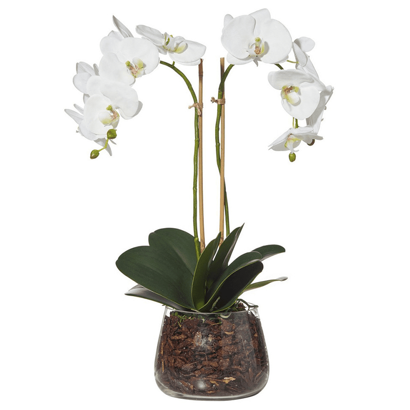 오 하 이오 주 - 2000, 26.