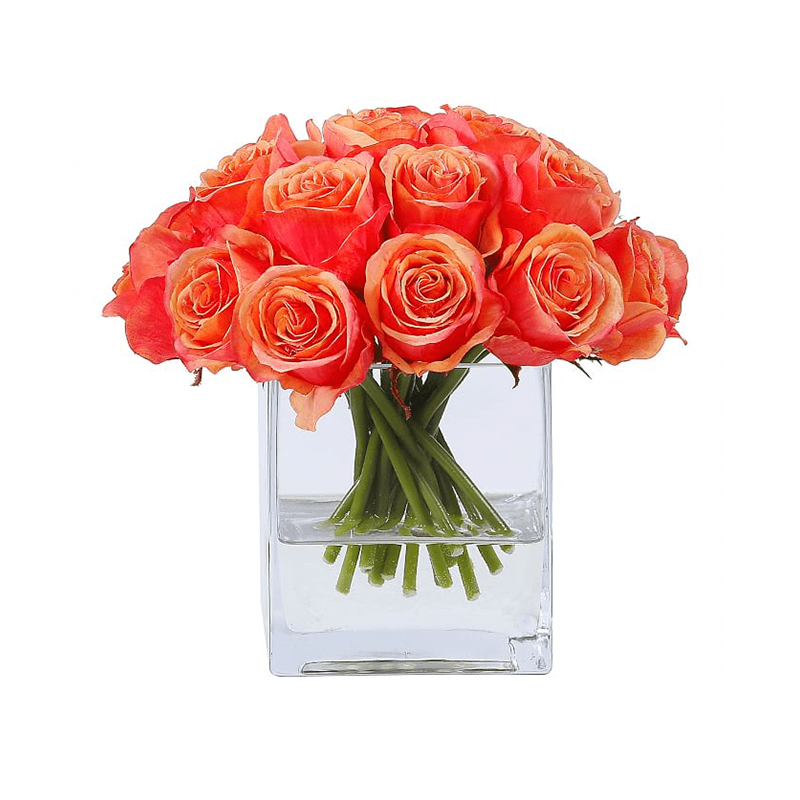 오 하 이오 주 - 20000 29