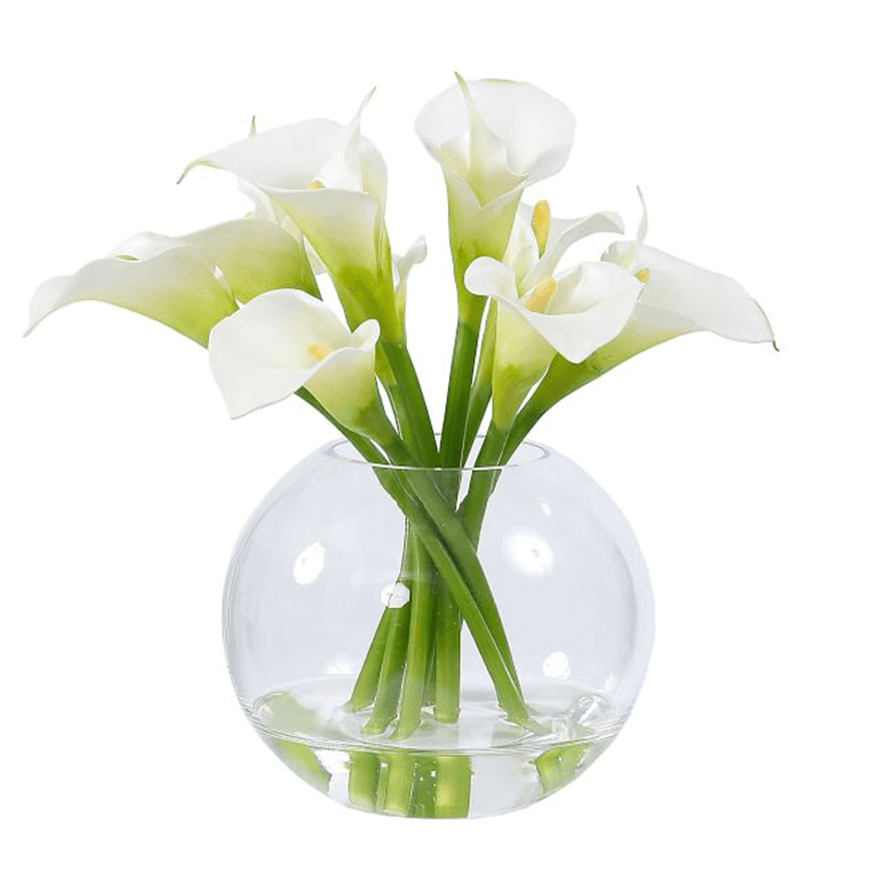 오 하 이오 주. - 200031.